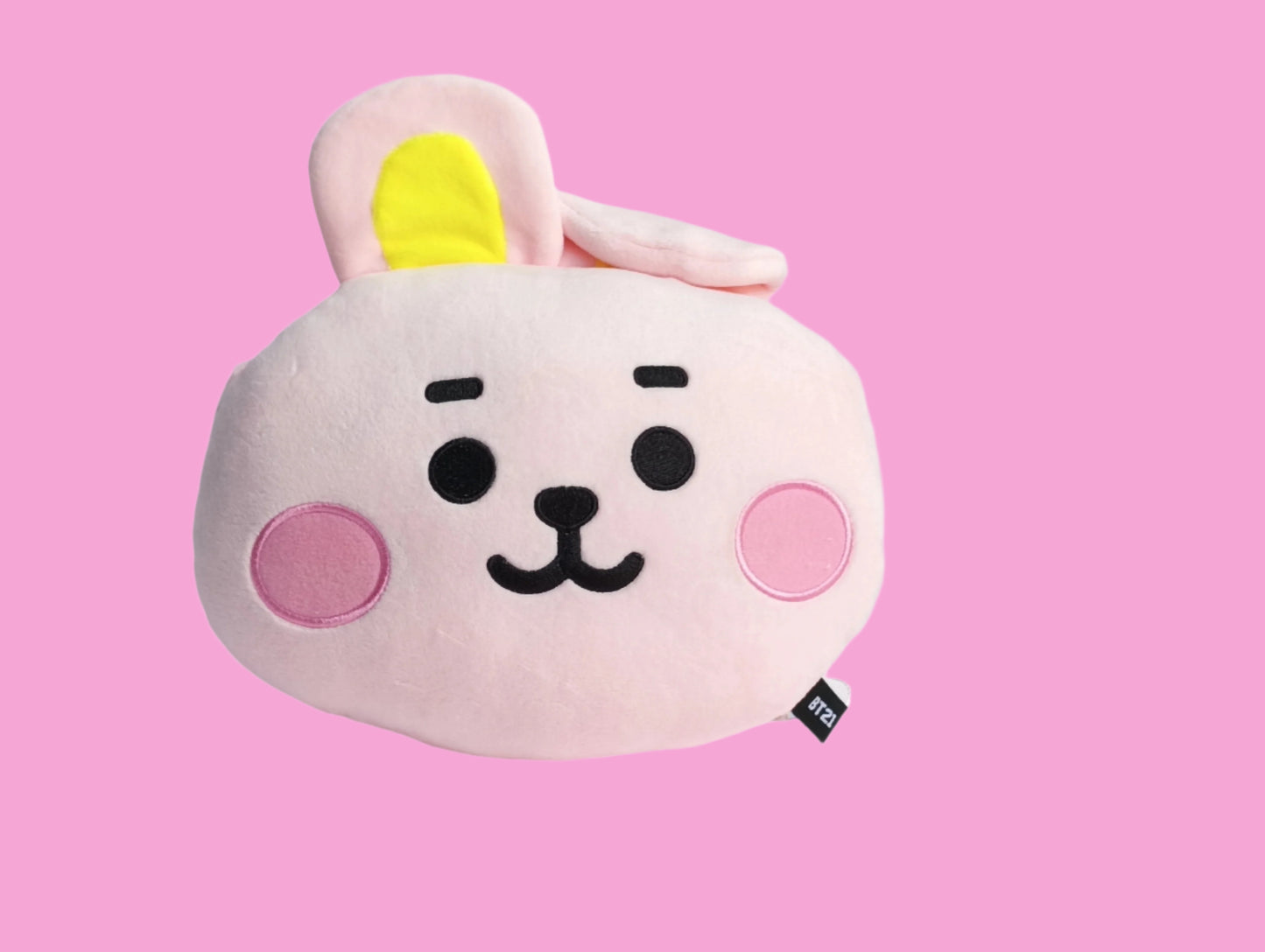 BT21 ARM CUSHION (7 VERS)