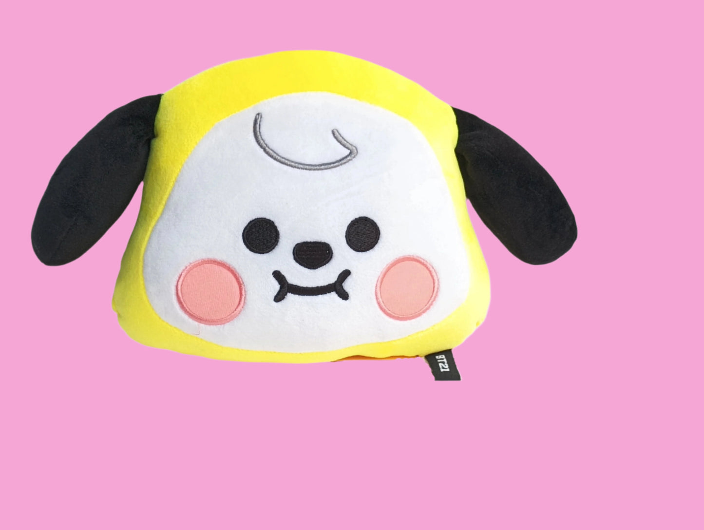 BT21 ARM CUSHION (7 VERS)