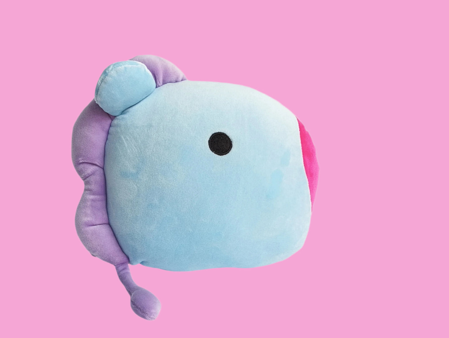 BT21 ARM CUSHION (7 VERS)