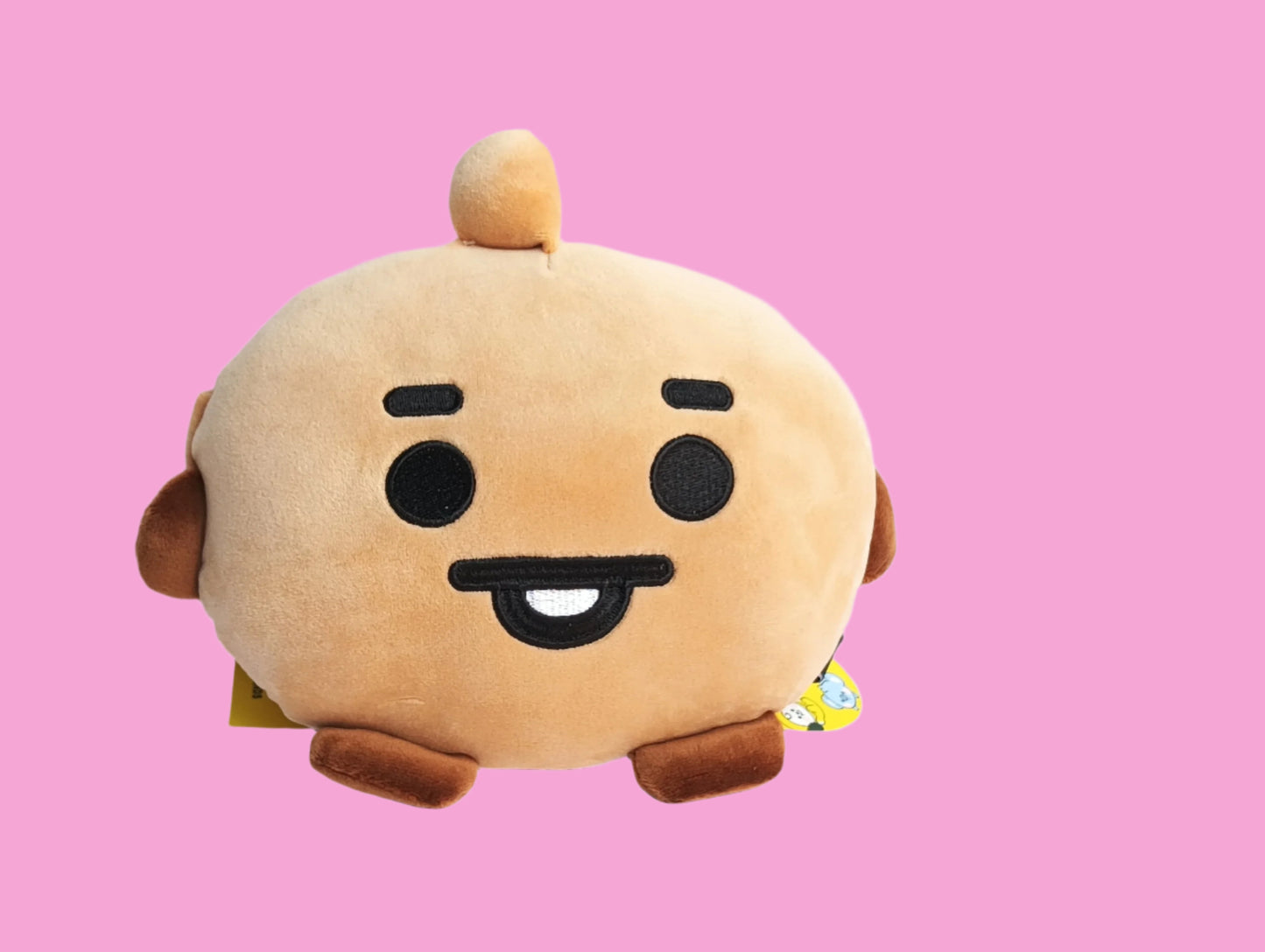 BT21 ARM CUSHION (7 VERS)