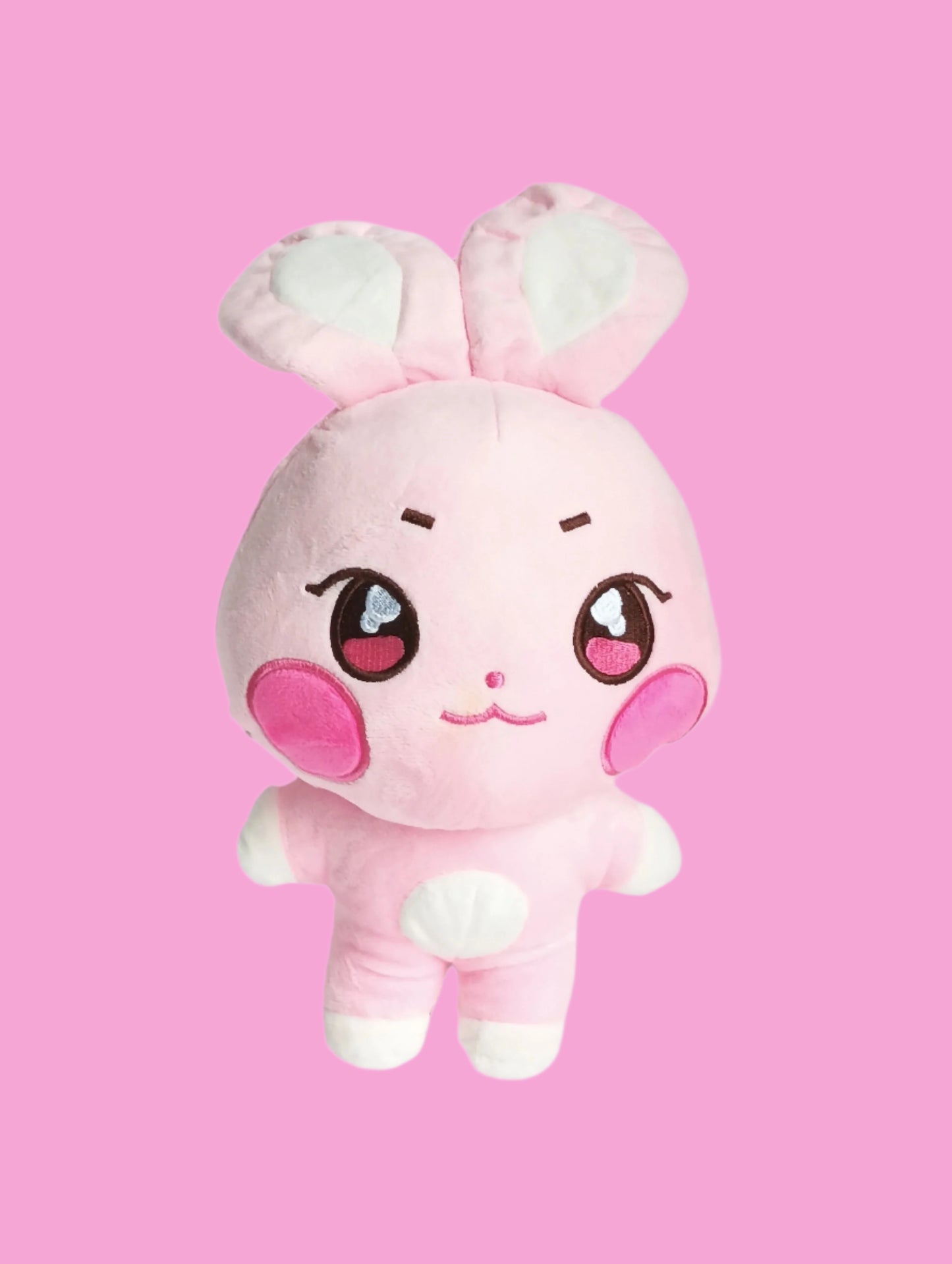 ATEEZ STUFFED ANIMALS (20 cm.)