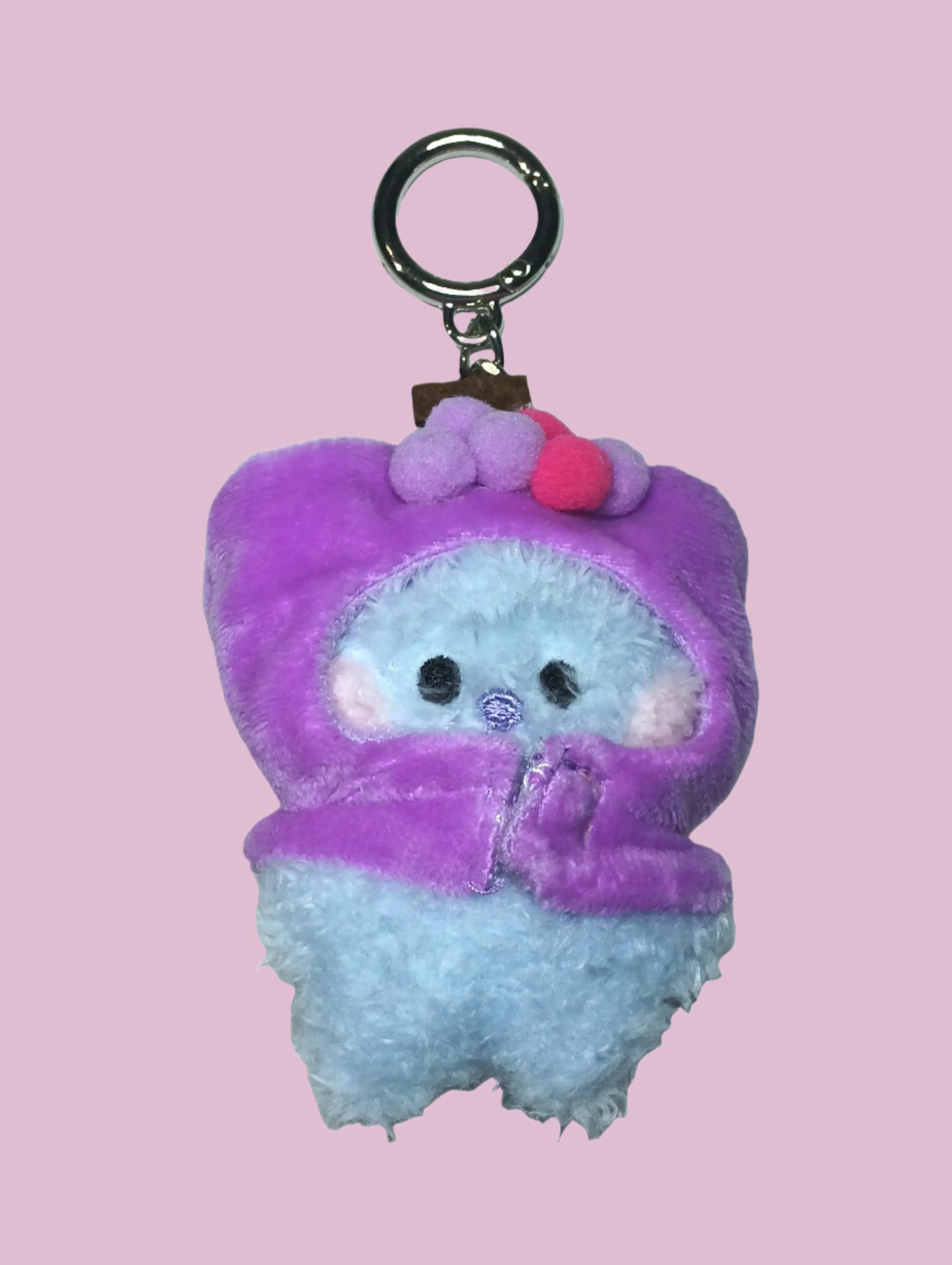BT21 PLUSH FRUIT KEYCHAIN (7 vers)