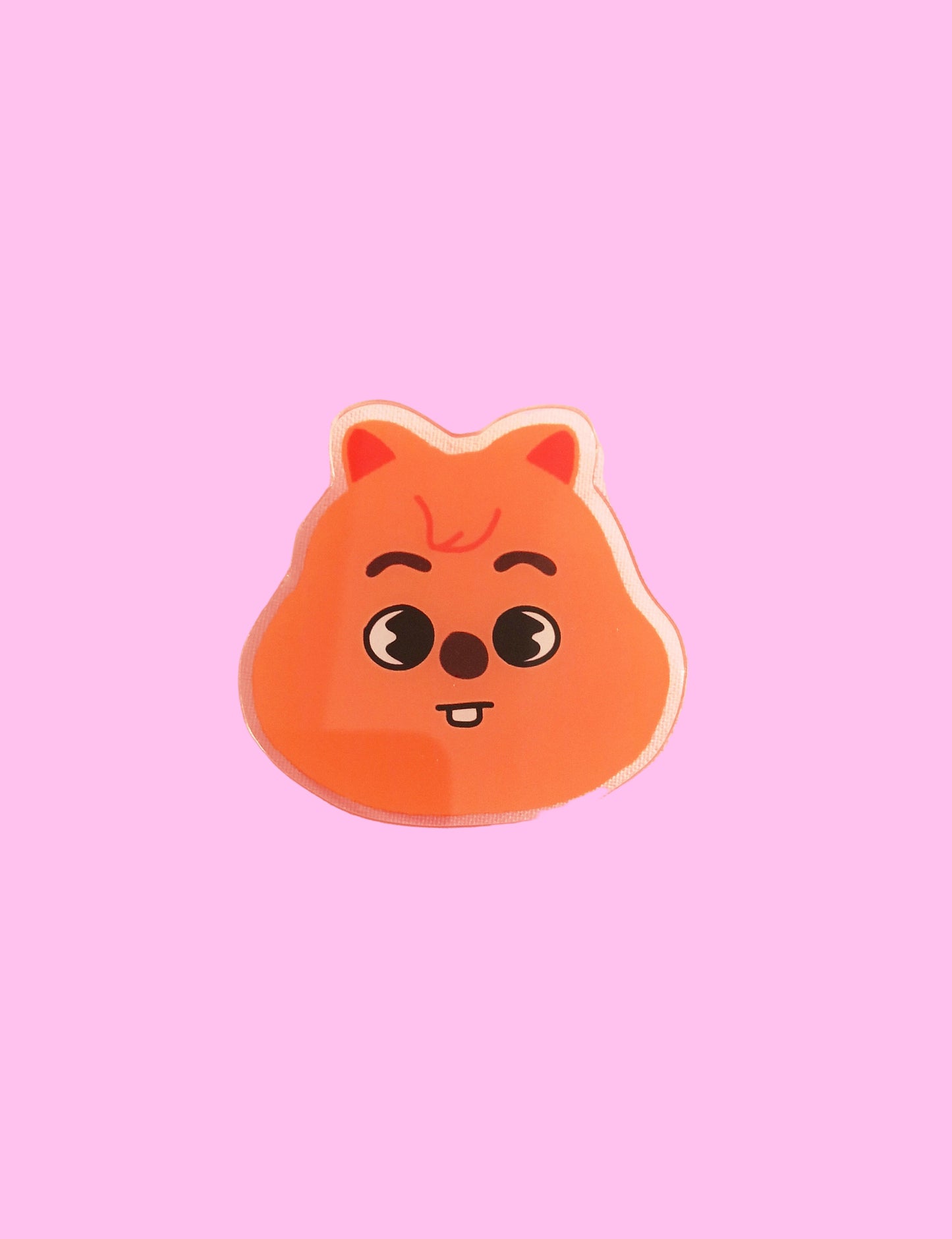 SKZOO POPSOCKET (8 VERS)
