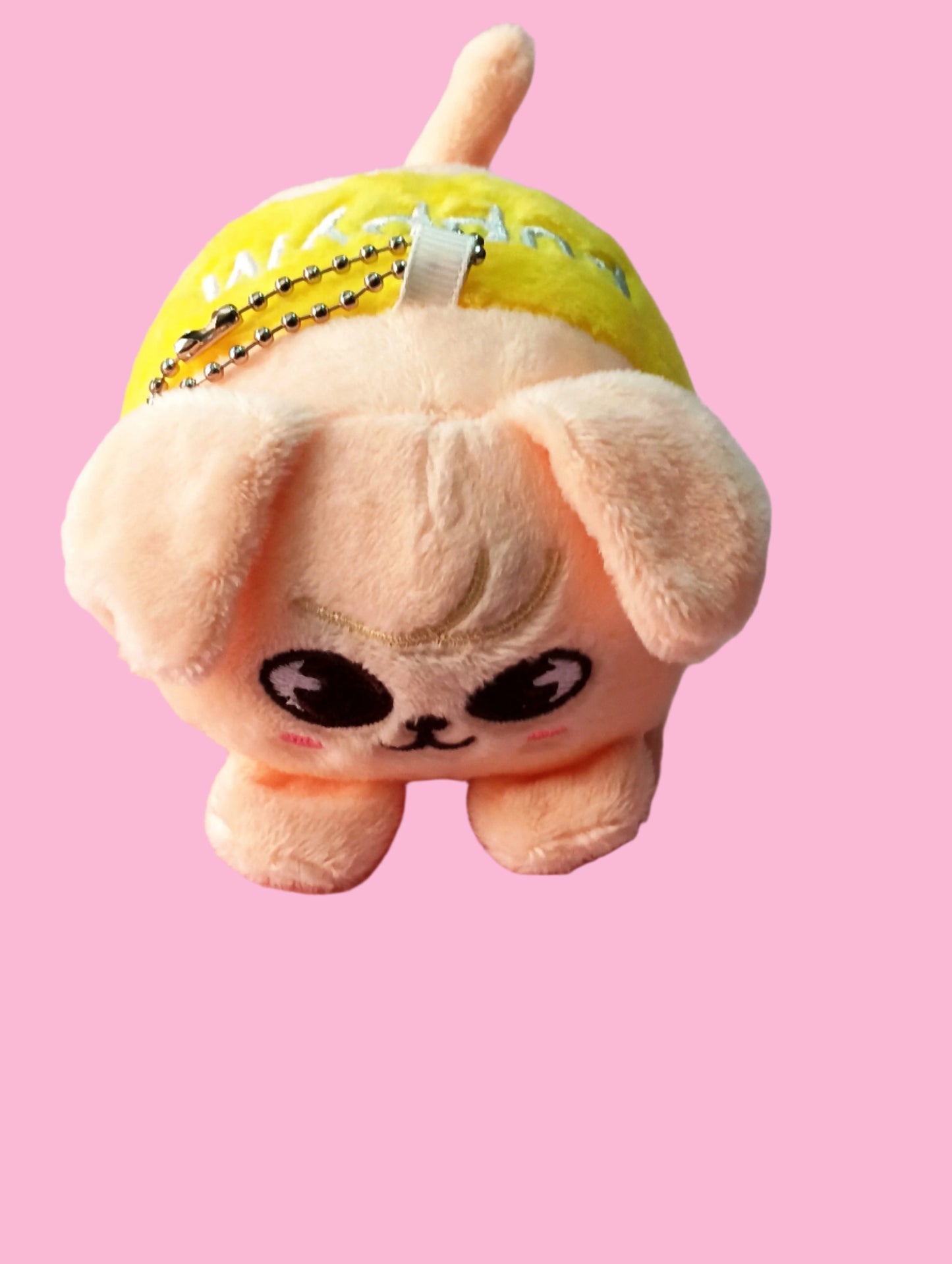 SKZOO PLUSHIES VICTORY (8 VERS)