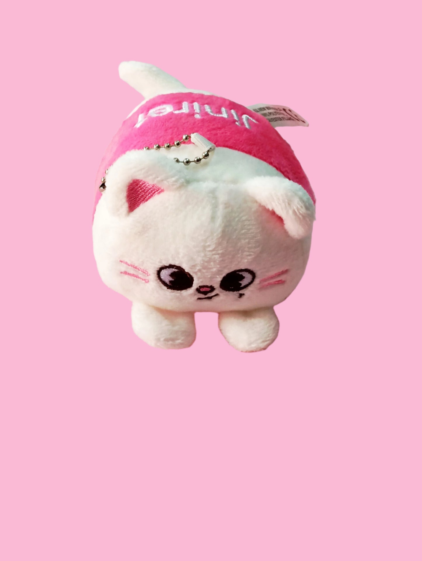 SKZOO PLUSHIES VICTORY (8 VERS)