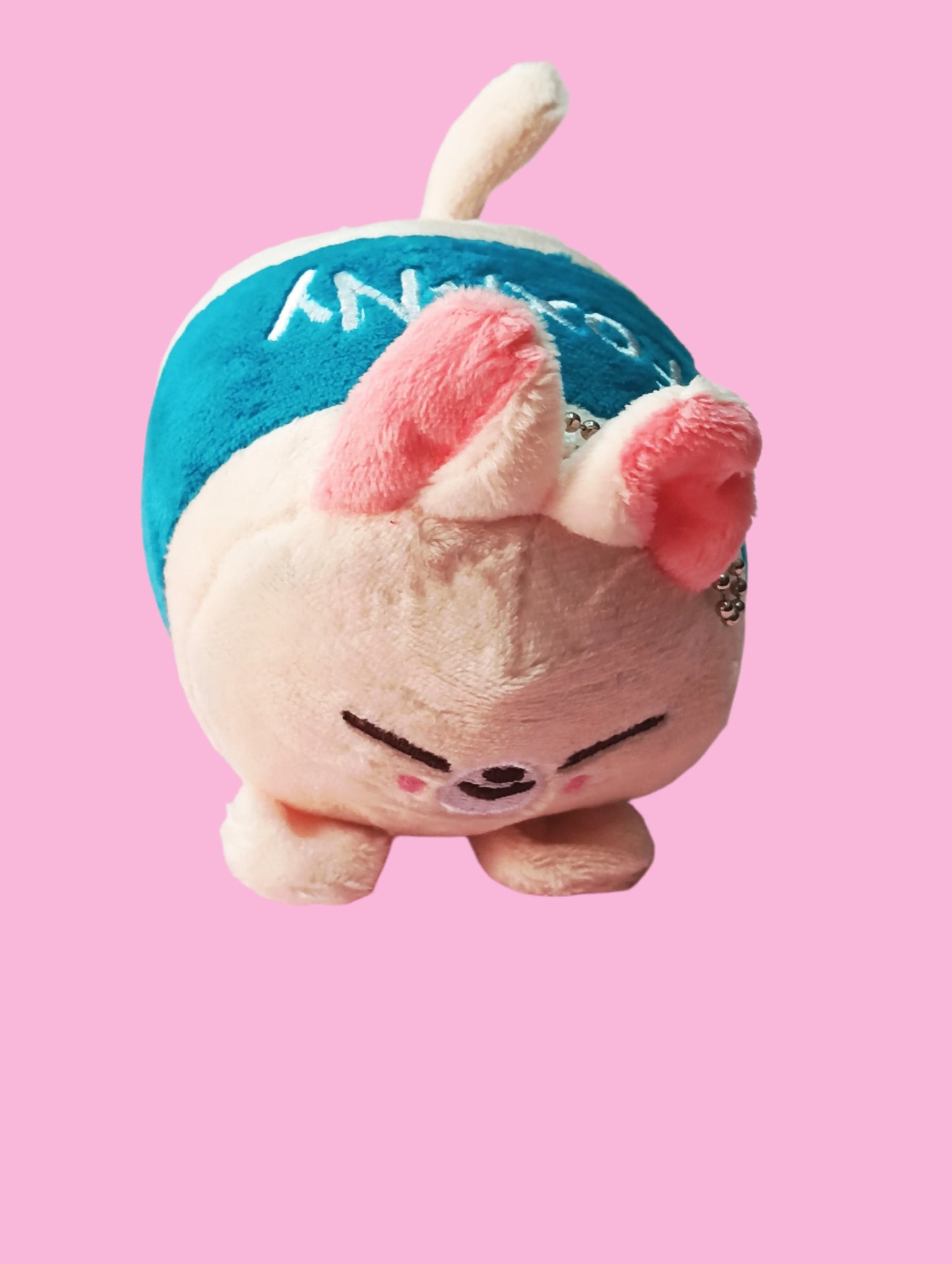 SKZOO PLUSHIES VICTORY (8 VERS)