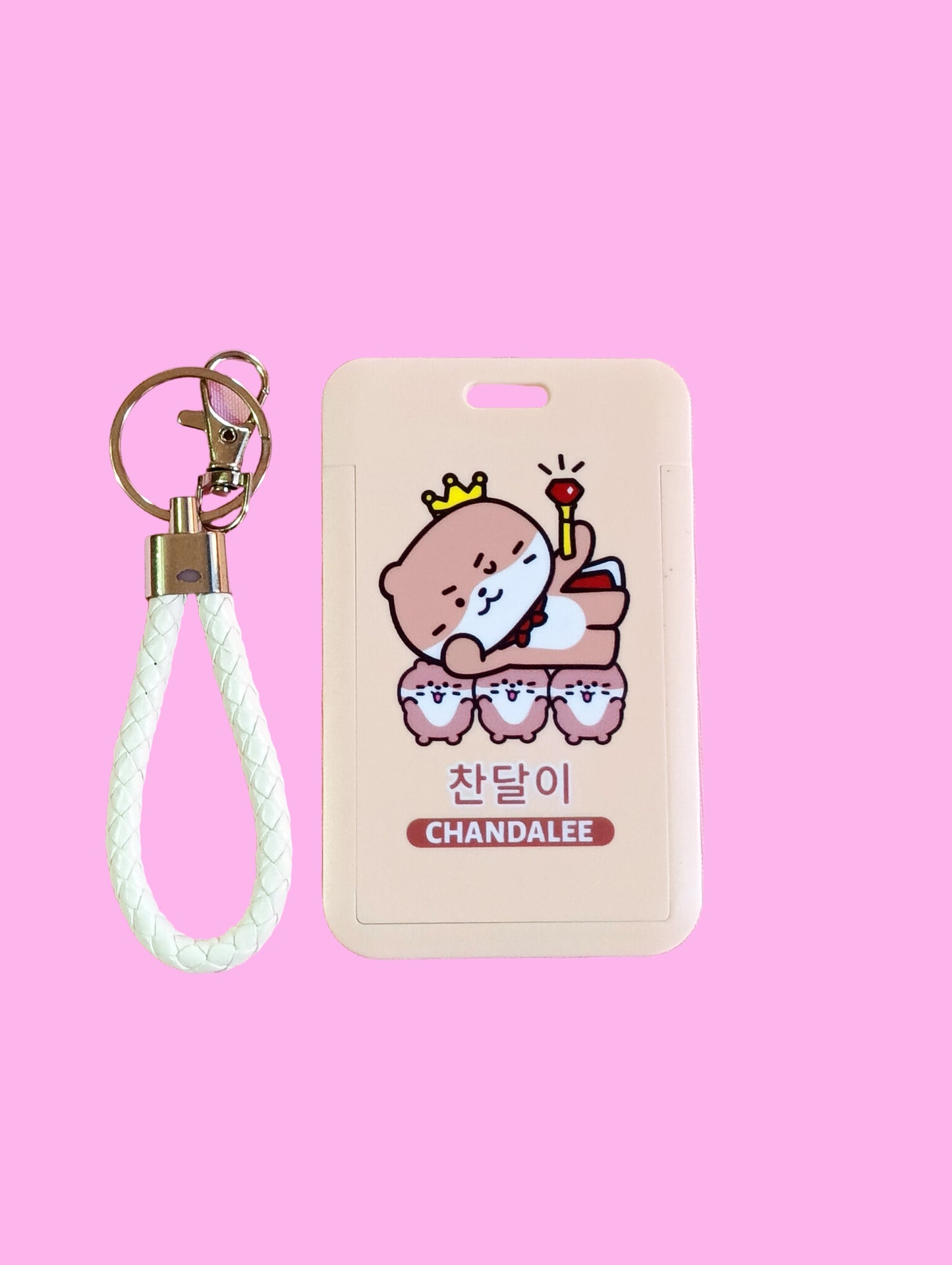 SEVENTEEN CARD HOLDER - MINITEEN