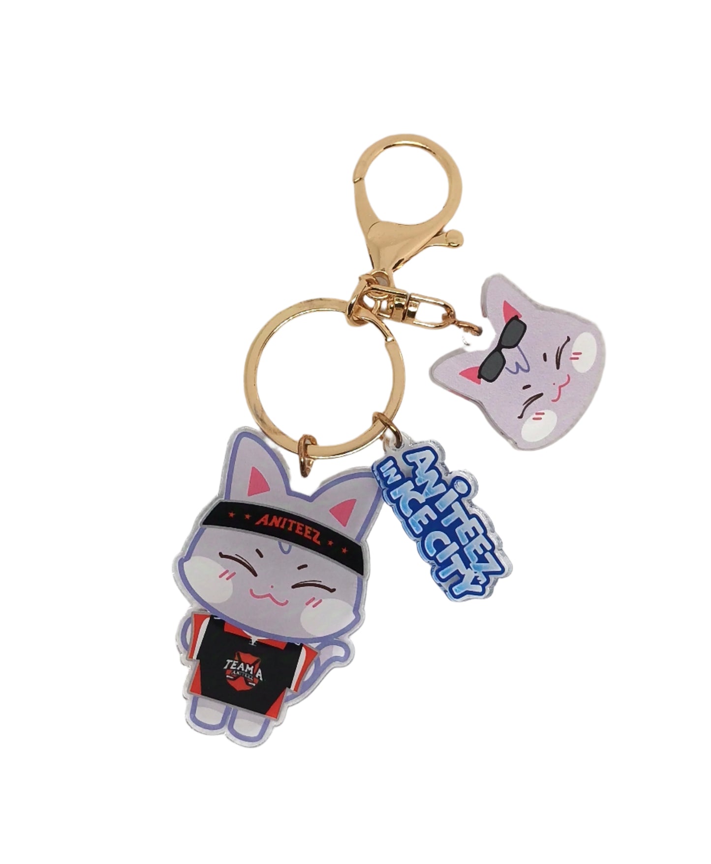 ATEEZ - ANITEEZ IN ICE CITTY KEYCHAIN