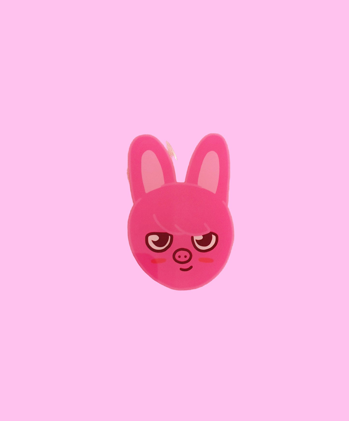 SKZOO POPSOCKET (8 VERS)