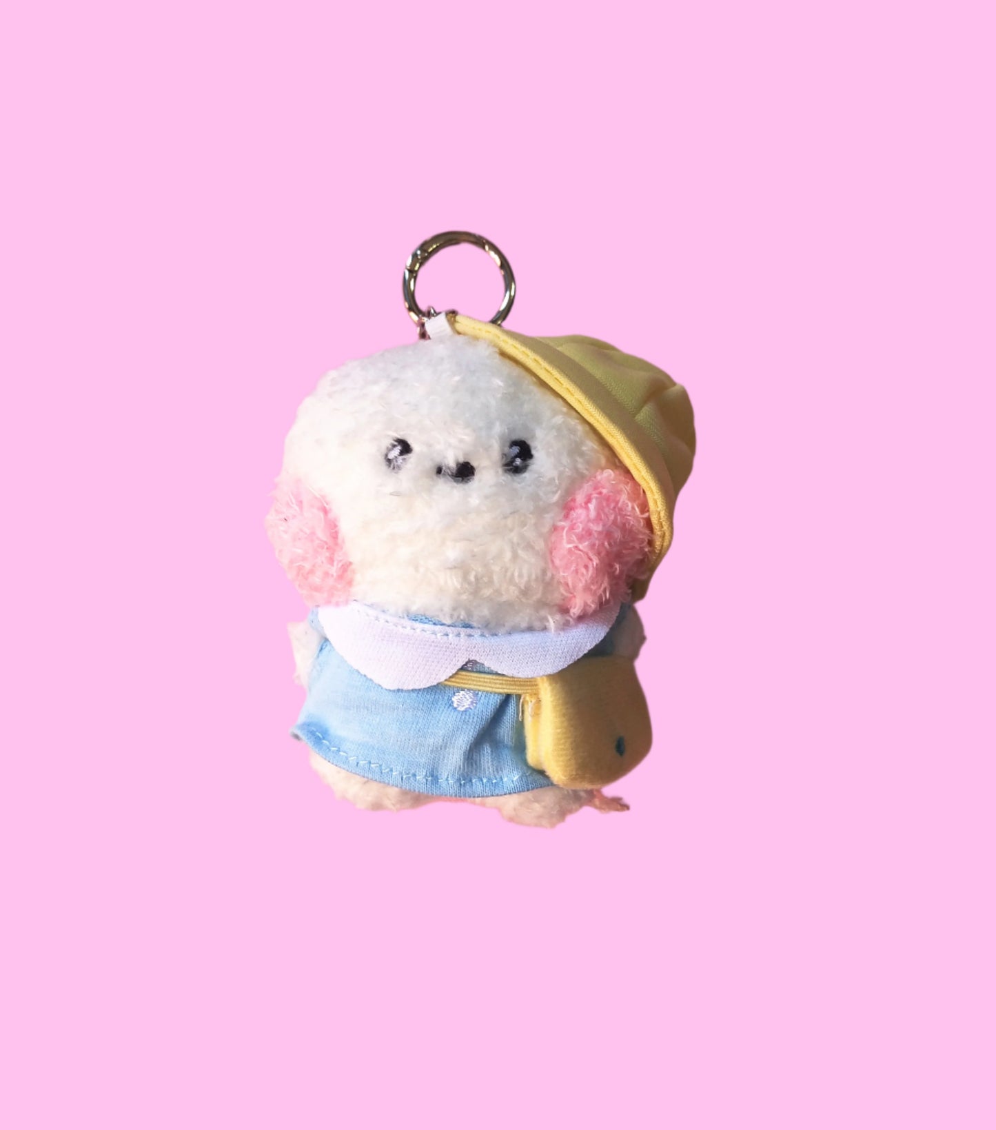 BT21 MININI PICNINC PLUSH KEYCHAIN