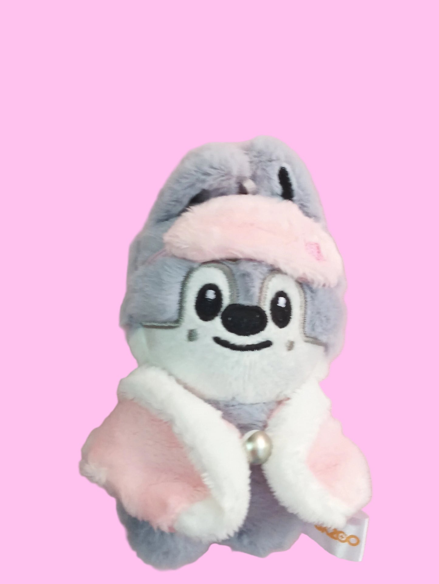 SKZOO PELUCHES IN OUR LITTLE HOUSE - STRAY KIDS